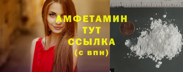 гашик Краснослободск