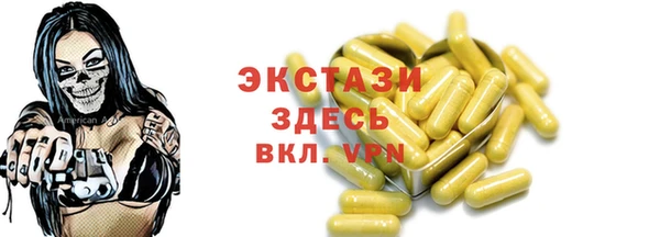 гашик Краснослободск