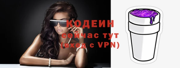 прущие грибы Корсаков