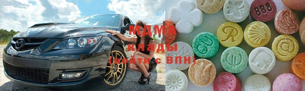 прущие грибы Корсаков