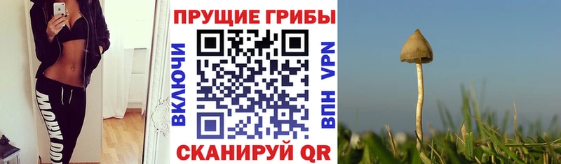 Галлюциногенные грибы мицелий  Купить  Елец 